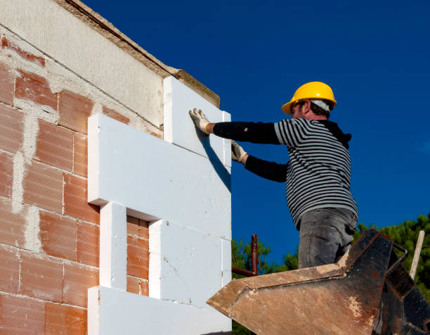 Best Insulation Contractor Near Me  in Lorenzo, TX