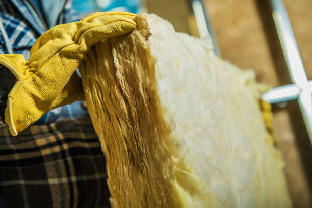 Best Energy-efficient Insulation  in Lorenzo, TX
