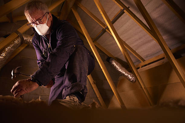 Best Soundproof Insulation Installation  in Lorenzo, TX