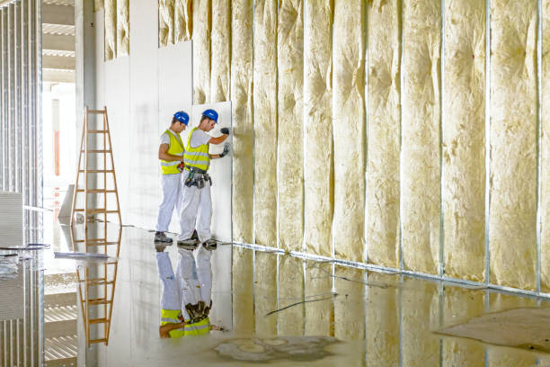 Best Affordable Insulation Services  in Lorenzo, TX
